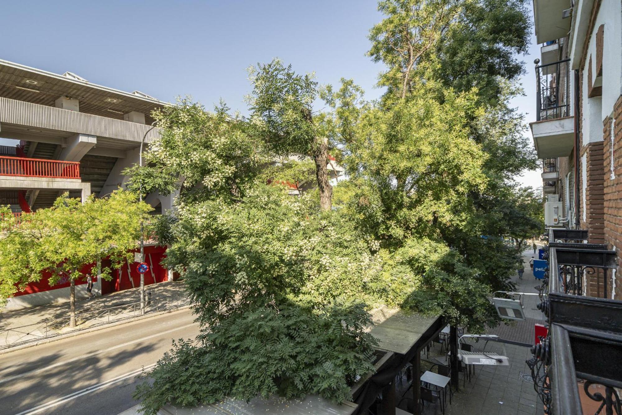 Apartamentos En La Avda De La Albufera Alquiler Temporal Madrid Eksteriør billede